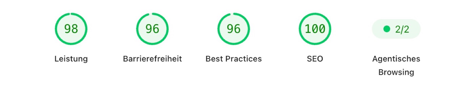 Lighthouse Scores für hollyskinlab.com: 98 Leistung, 96 Barrierefreiheit, 96 Best Practices, 100 SEO